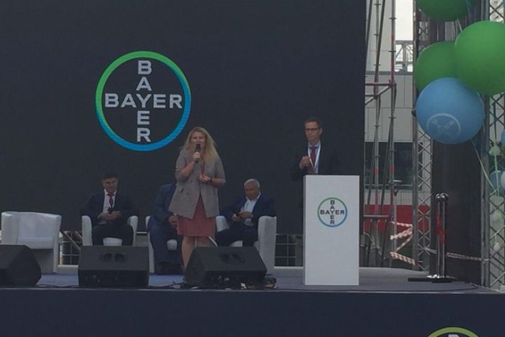 bayer new pic1